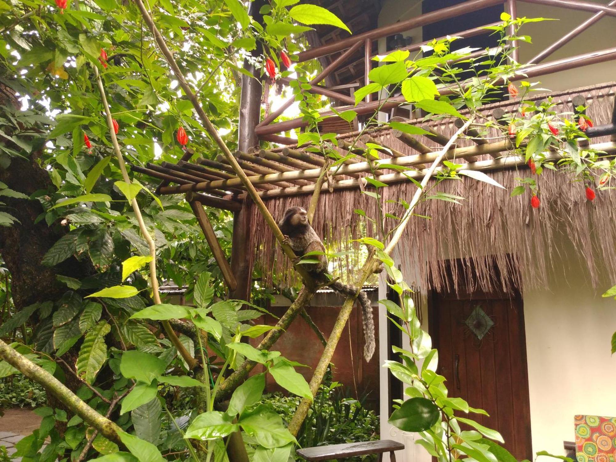 Pousada Fruta Pao Hotell Barra Grande  Eksteriør bilde